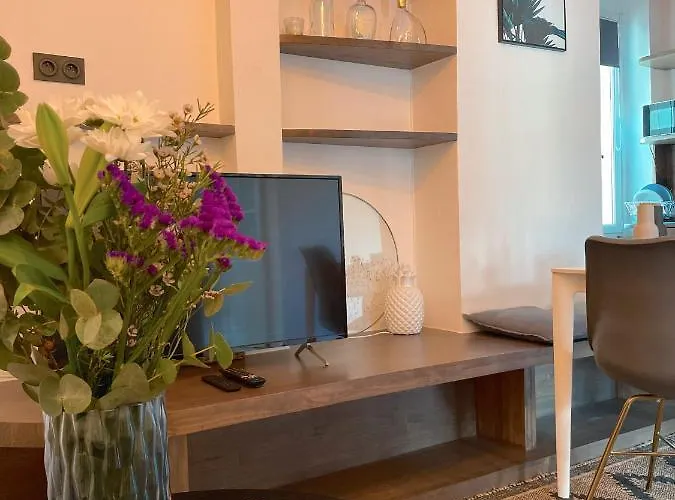 Centre Appartement Biarritz